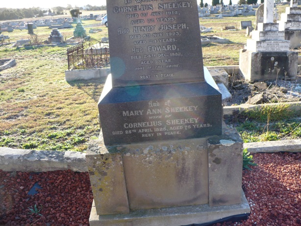 Headstone Mary Ann Sheekey